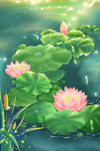 池塘荷花荷叶水池芦苇光影治愈植物场景