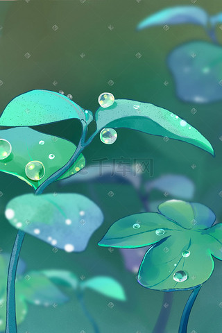 寒露插画图片_春天春季雨水雨滴树叶花草寒露节气插画