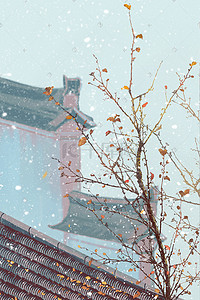 大雪纷纷中国风插画