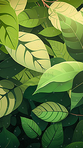 自然叶子插画图片_绿色植物叶子肌理