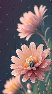 光照插画图片_高清盛开的粉色花朵