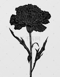黑白风格植物和花朵数字艺术