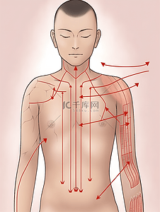 简约医疗美容展架插画图片_人体注释上半身部位简洁标注中医美容插画