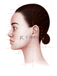 简约养生插画图片_人体注释头部图简约插画