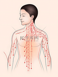 美容中医养生插画图片_人体注释图简约上半身插画