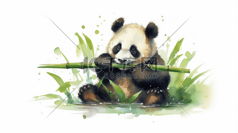 一只熊猫正在吃一些竹子