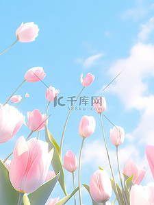 蓝天下粉红色郁金香花朵唯美6