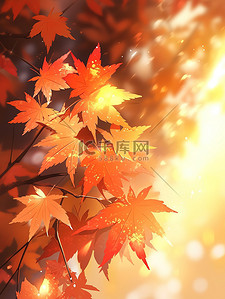 秋天的叶子插画图片_秋天的枫叶柔和梦幻的描绘插画15