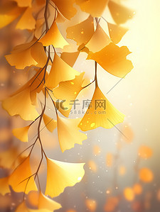 秋天金黄色的银杏叶插画6