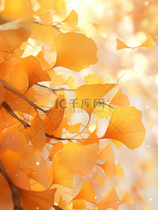 秋天金黄色的银杏叶插画11
