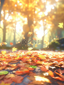 红色叶子秋天插画图片_秋天的树叶落在公园的地上9