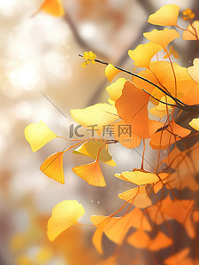 秋天金黄色的银杏叶插画2