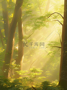 森林清晨插画图片_清晨的阳光透过茂密森林水彩画19