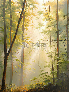 清晨的阳光透过茂密森林水彩画8