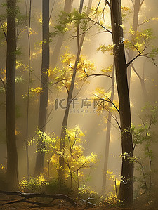 清晨的阳光透过茂密森林水彩画14