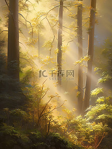 森林清晨插画图片_清晨的阳光透过茂密森林水彩画9