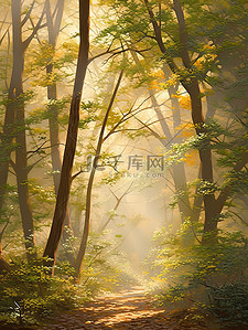 清晨的阳光透过茂密森林水彩画12