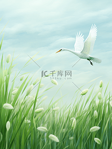白露节气植物插画图片_唯美草丛中的白鹭鸟白露节气插画1
