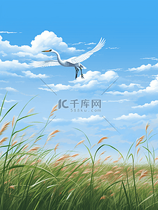 唯美草丛中飞翔的白鹭鸟白露节气插画15