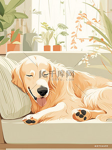 沙发躺插画图片_可爱的金毛犬躺在客厅沙发上4