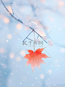 大雪海报的插画图片_红色的枫叶挂在树枝小雪大雪12