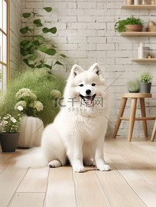 矢量萨摩耶插画图片_可爱的萨摩耶狗坐在客户地板上14