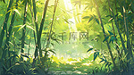 阳光绿色的竹林夏天宁静7