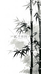 中国风水墨画竹子竹叶4