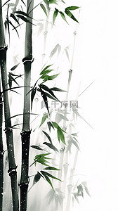 中国风水墨画竹子竹叶6