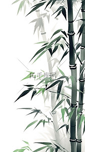 中国风水墨画竹子竹叶19