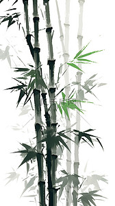 中国风水墨画竹子竹叶10