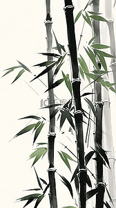 中国风水墨画竹子竹叶13