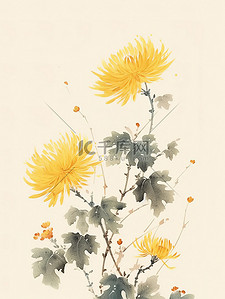 黄色的菊花中国风水彩画15