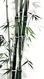 中国风水墨画竹子竹叶5