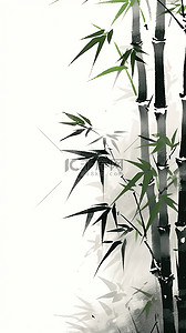 中国风水墨画竹子竹叶18