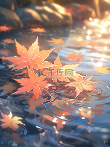 秋天的树叶枫叶秋分13