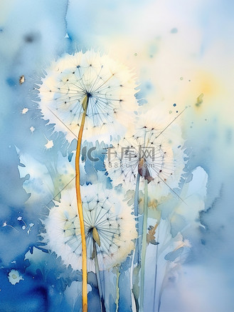 蓝色水彩画图片素材_水彩画蒲公英蓝色背景插画7