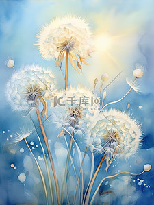 水彩画蒲公英蓝色背景插画15