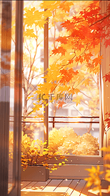 橙色秋天窗前枫树枫叶风景