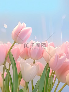 美丽的花浅粉色郁金香14