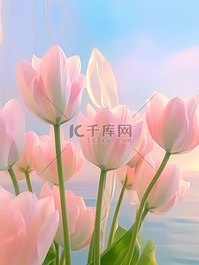 数字5花插画图片_美丽的花浅粉色郁金香5