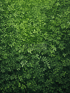 树木森林插画图片_绿色自然植物树木森林16