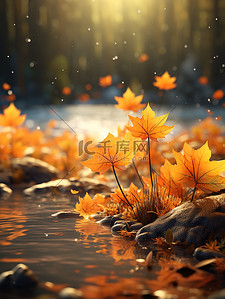 秋天的氛围落叶枫叶3