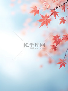 红色叶子秋天插画图片_秋天美丽的红色枫叶13