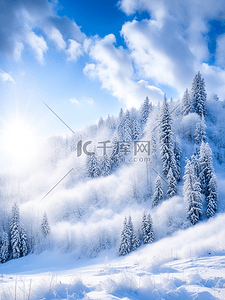 冬天风景雪地森林天空白云写实阳光