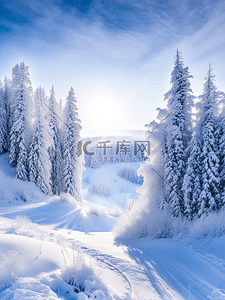 风景写实插画图片_冬天风景雪地森林天空白云写实阳光
