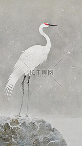 国风水墨插画冬景雪景里的白鹤