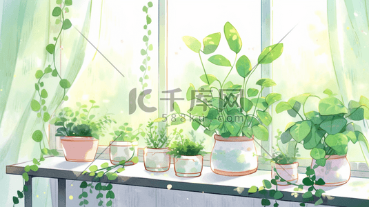 家居装饰绿植插画12