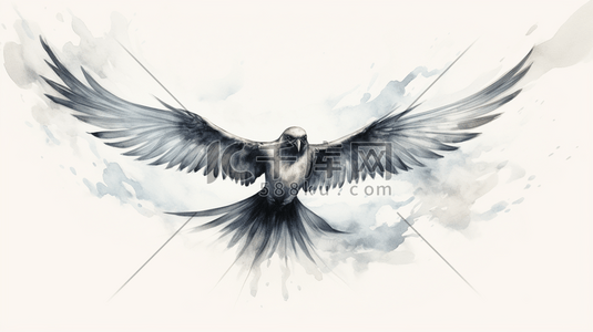 黑色的翅膀插画图片_黑色飞舞的水墨鸟插画13