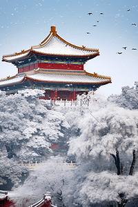 雪景摄影图冬天故宫松树照片写实矢量插画